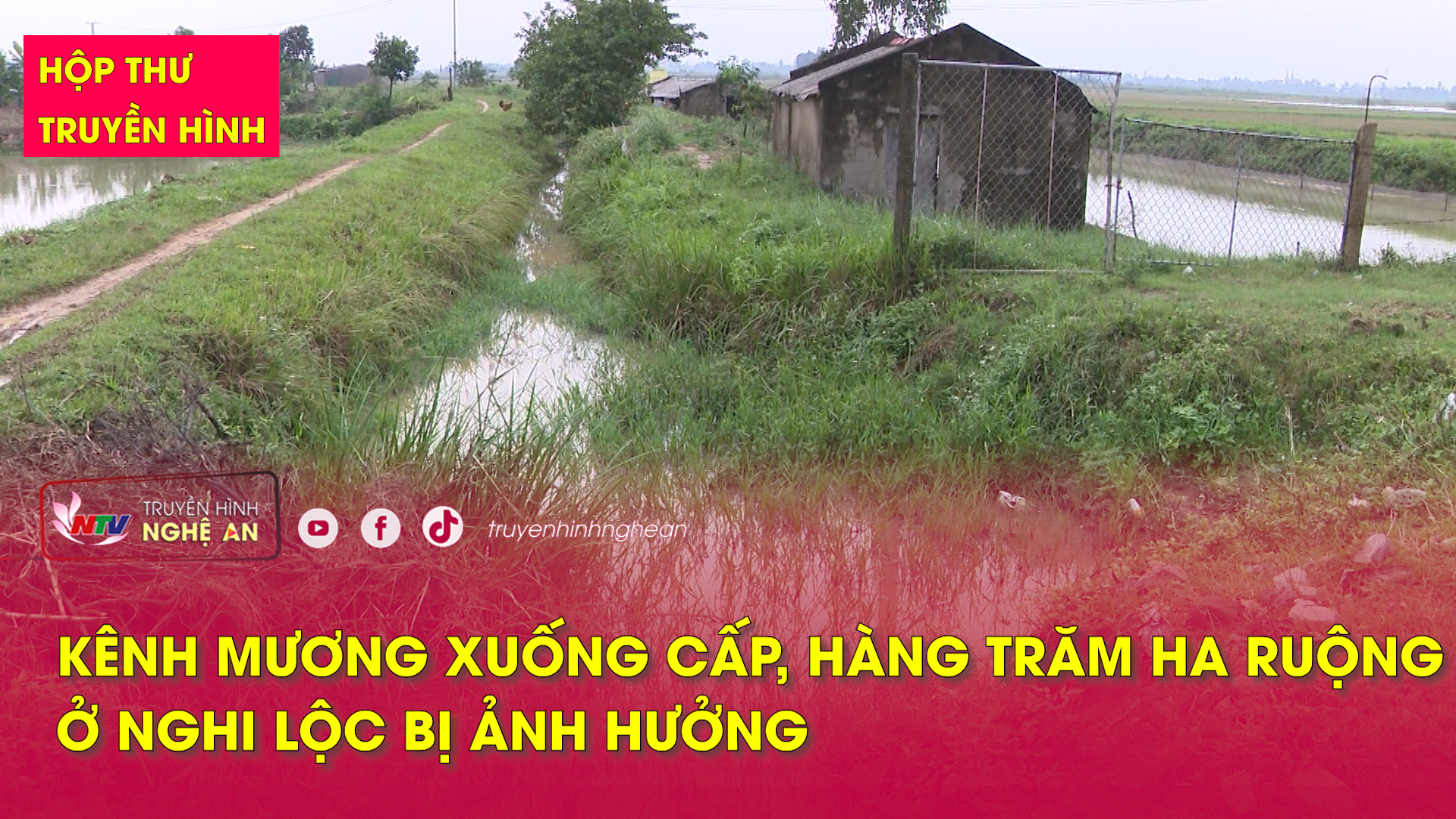 Hộp thư truyền hình: Kênh mương xuống cấp, hàng trăm ha ruộng ở Nghi Lộc bị ảnh hưởng