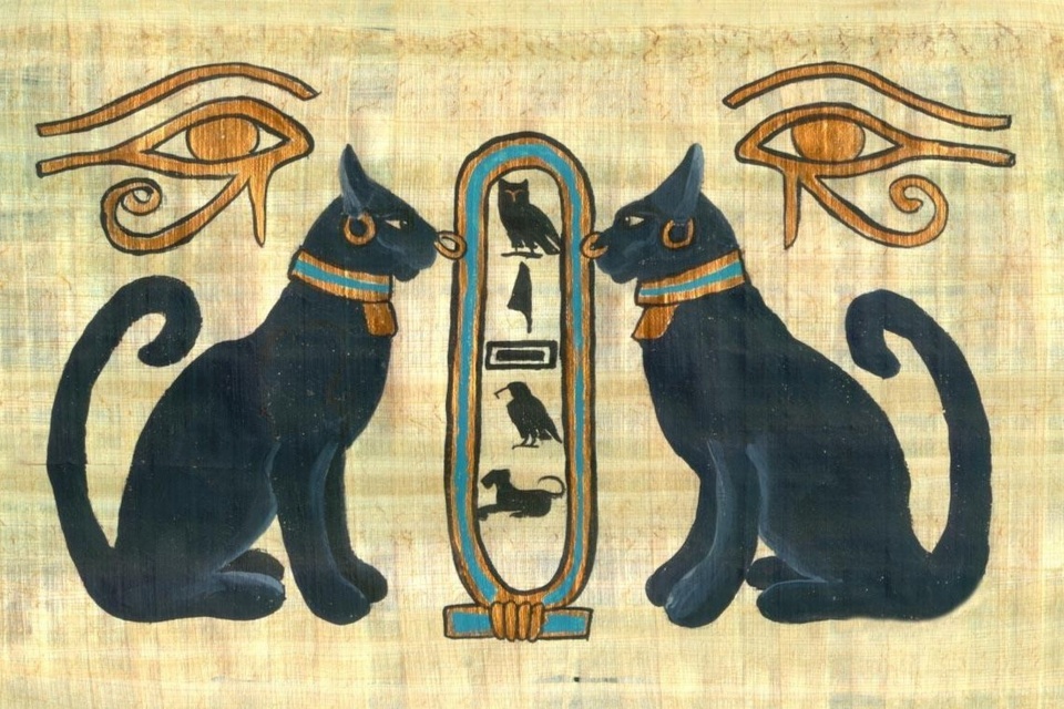 Mèo được coi là con vật linh thiêng ở Ai Cập. Ảnh: Papyrus/Pinterest.