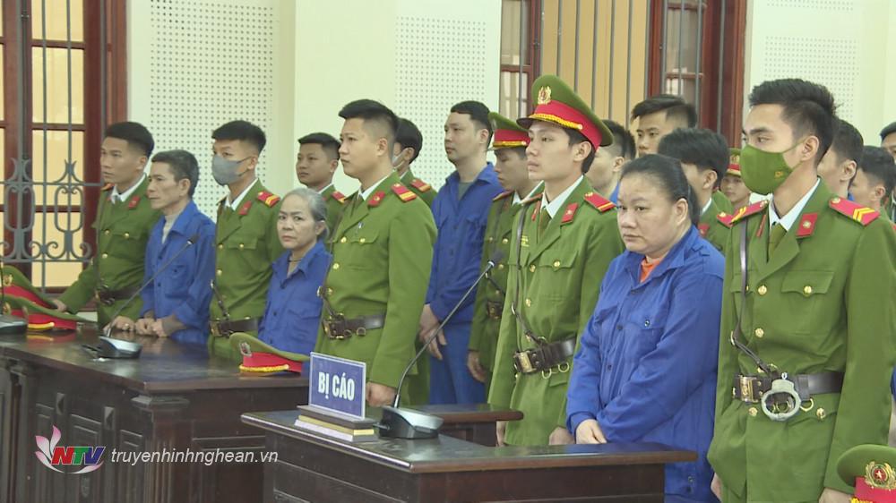 Vụ án buôn bán ma túy do Trần Thị Mậu, 56 tuổi, trú tại Đô Lương, Nghệ An cầm đầu 