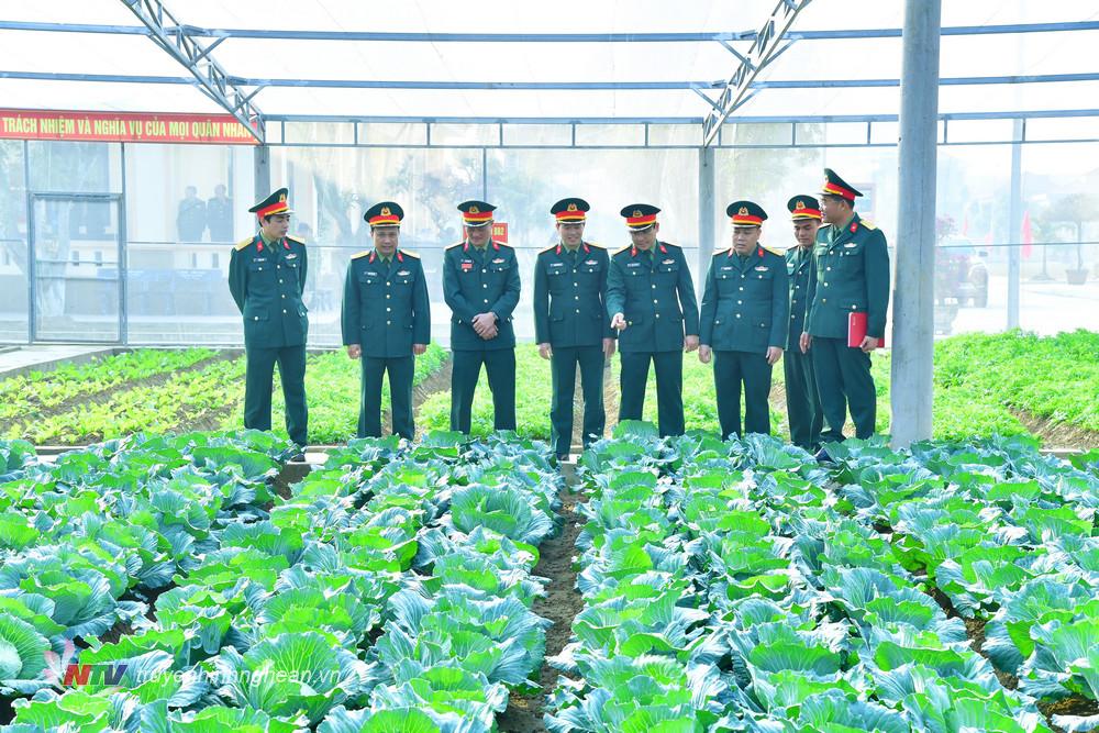 Đại tá Phan Đại Nghĩa - Ủy viên Ban Thường vụ Tỉnh ủy, Chỉ huy trưởng Bộ Chỉ huy Quân sự tỉnh và các đồng chí đại biểu kiểm tra công tác tăng gia sản xuất tại Trung đoàn 764.