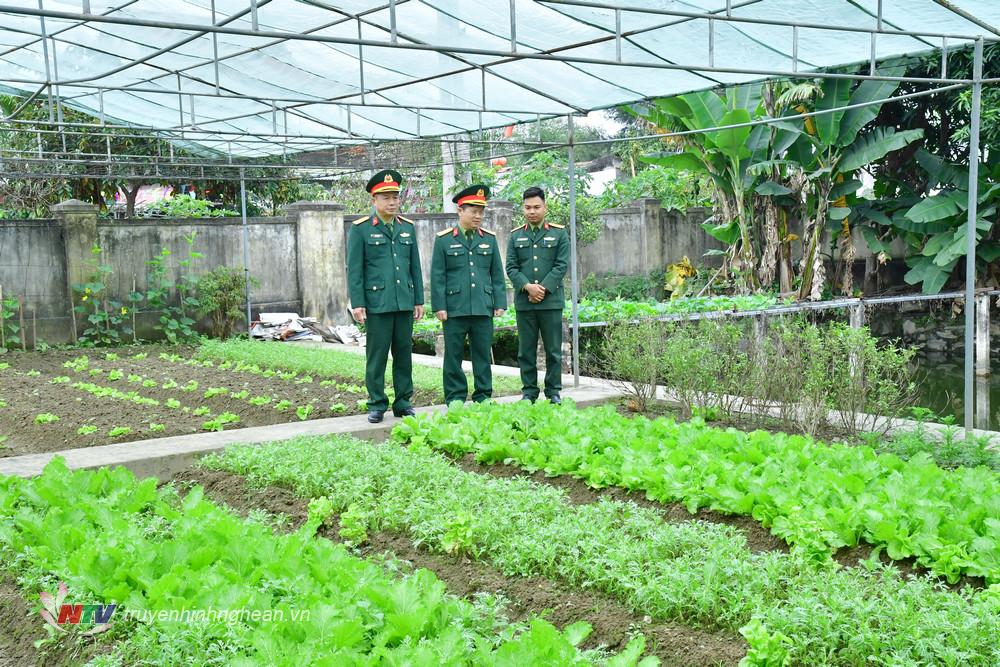 Kiểm tra công tác tăng gia sản xuất nâng cao đời sống vật chất cho bộ đội trong các ngày lễ Tết.