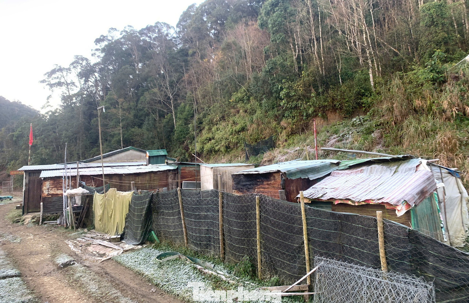 Băng giá xuất hiện ảnh hưởng lớn đến cuộc sống của cán bộ tại trạm và người dân trên địa bàn.