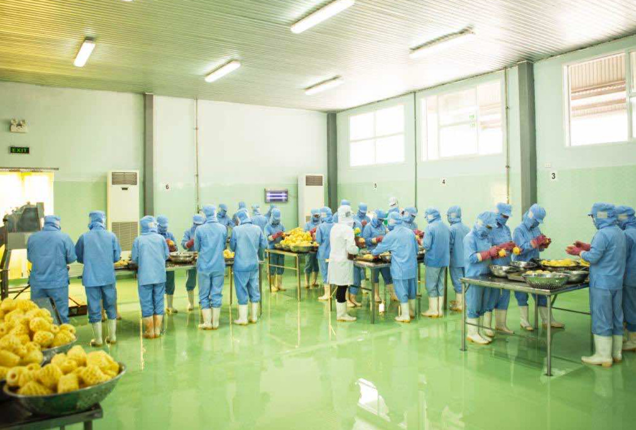 Dây chuyền sản xuất của Công ty Nafood Group tại Nghệ An