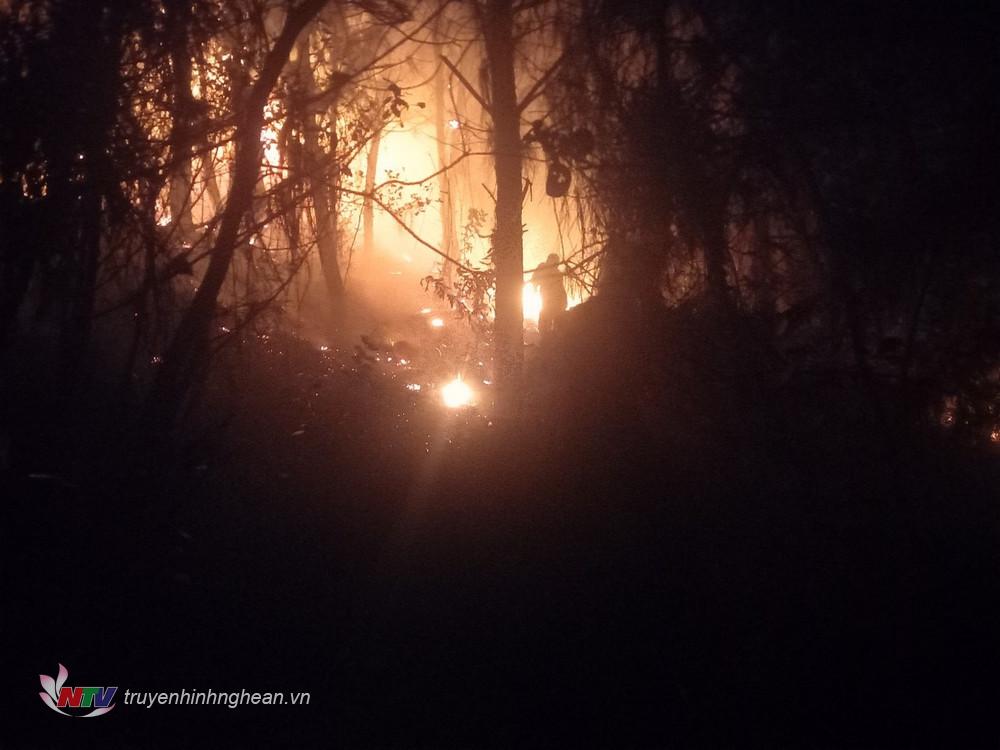 Diện tích rừng bị cháy khoảng 2ha. 