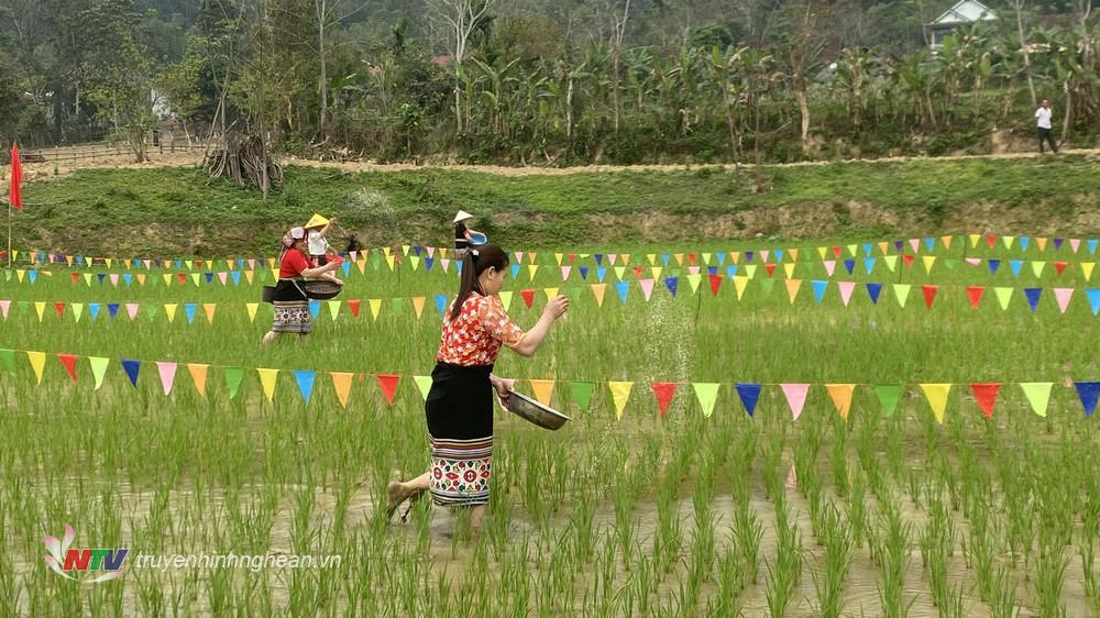 Lễ hội Lồng tồng (lễ hội xuống đồng) là sinh hoạt văn hóa đặc sắc của đồng bào dân tộc Thái ở huyện Quỳ Châu.