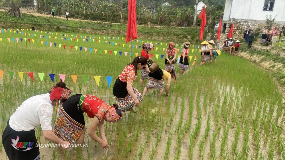 Các chị, các mẹ tham gia làm cỏ lúa trong sự reo hò cổ vũ của đông đảo người dân trong buổi lễ.
