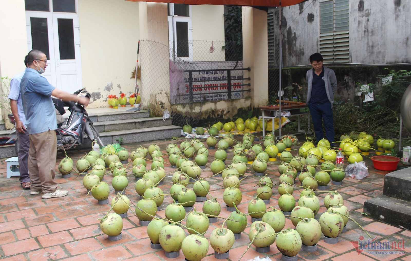 Ông Nguyễn Tiến Dũng lựa chọn những quả dừa không trầy xước, cân đối để thi triển bút pháp.