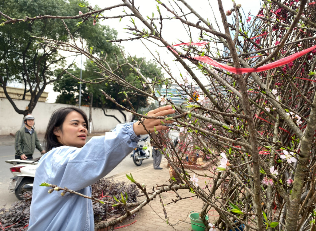 Miền Bắc duy trì thời tiết sáng và đêm trời rét