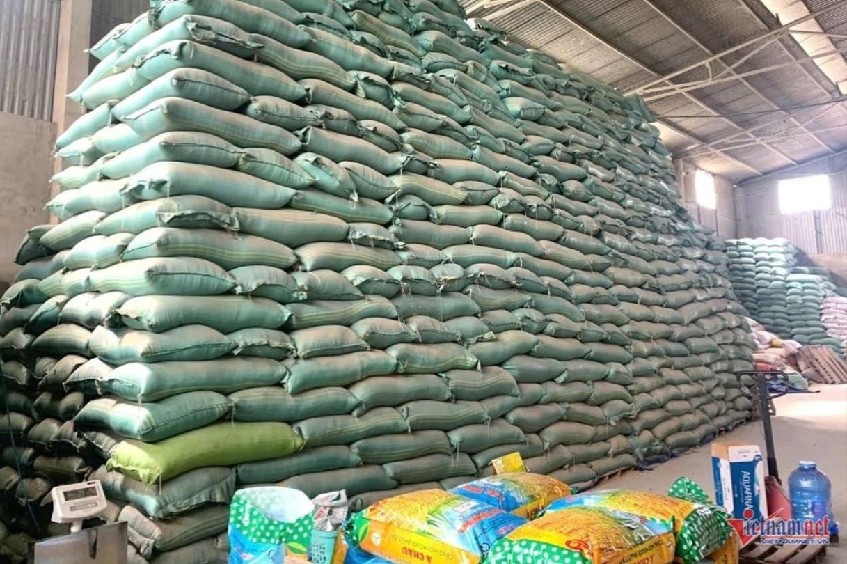 Các bao lúa được chất cao như núi. Ảnh: SĐ