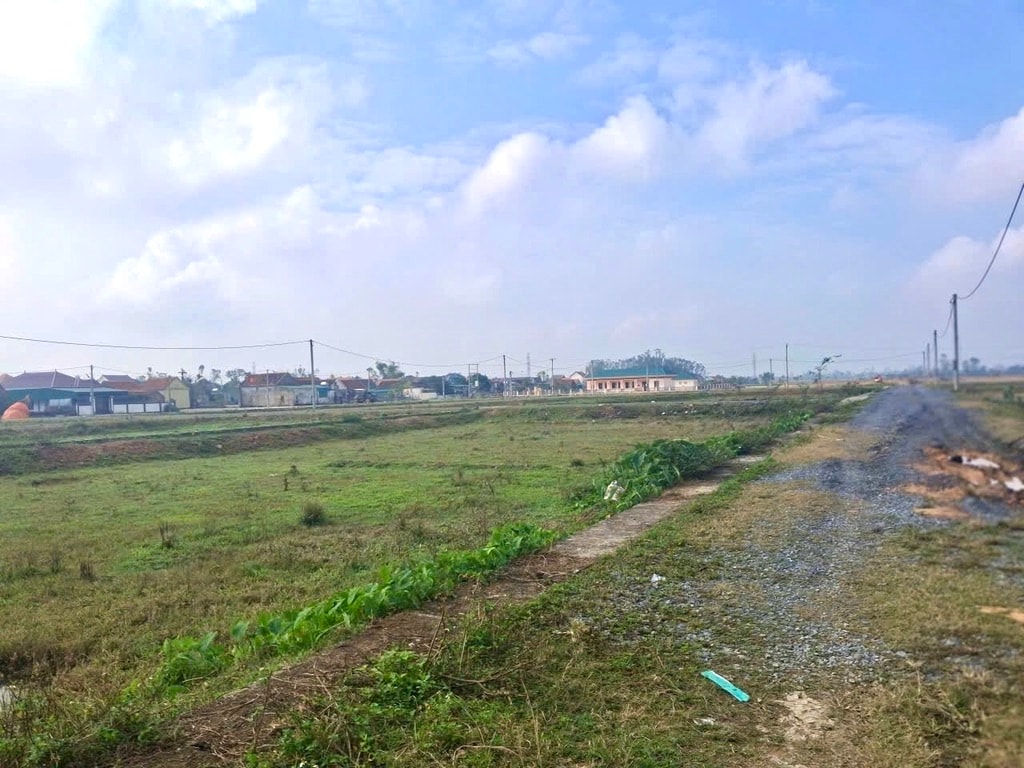 Chính phủ ban hành quy định mới về cấp sổ đỏ, chủ tịch cấp xã được trao quyền