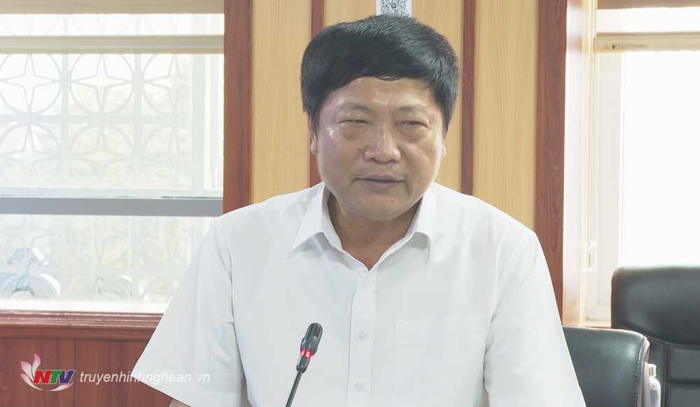 Giám đốc Điện lực Nghệ An Bành Hồng Hiển phát biểu tại cuộc làm việc.