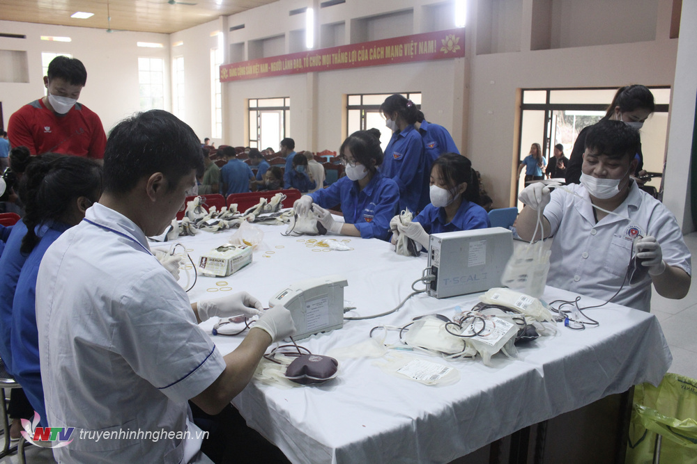 650 đơn vị máu thu được trong ngày hội hiến máu đợt 1 của huyện Nghĩa Đàn.