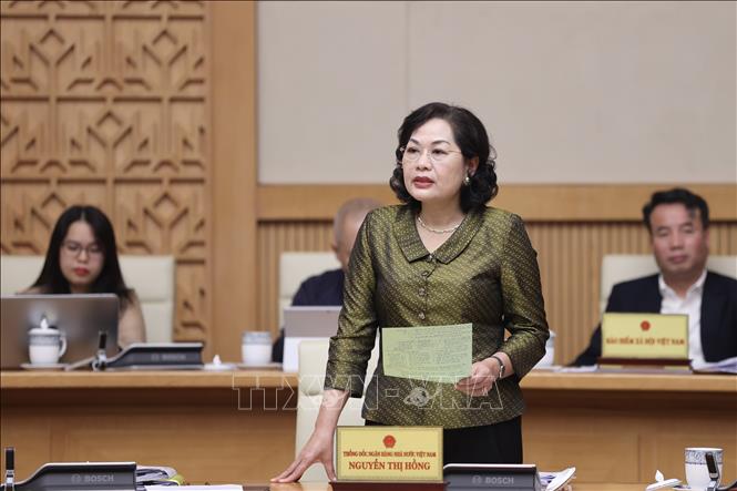 Thống đốc Ngân hàng Nhà nước Việt Nam Nguyễn Thị Hồng phát biểu. 