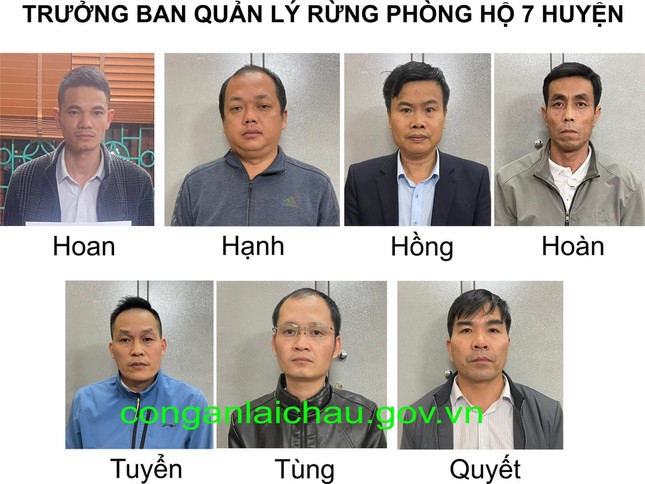 7 Trưởng Ban Quản lý rừng phòng hộ huyện bị tạm giữ hình sự. Ảnh CA Lai Châu.