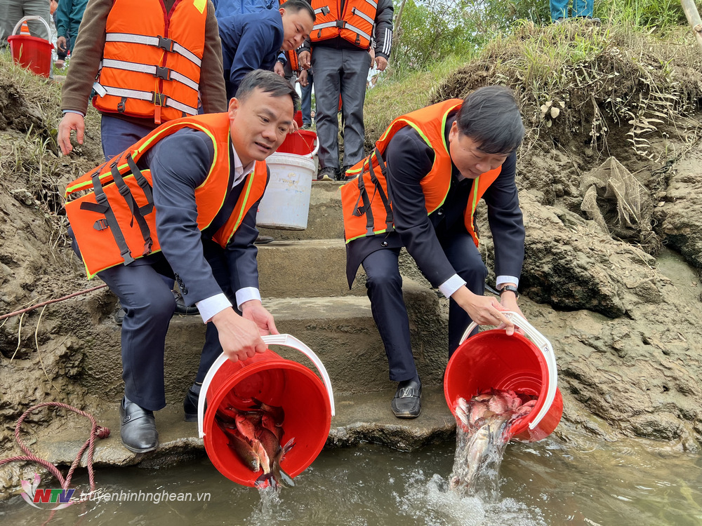 Phó Chủ tịch Thường trực UBND tỉnh Lê Hồng Vinh thả cá phóng sinh tại ngã 3 Đền Vạn - Cửa Rào.