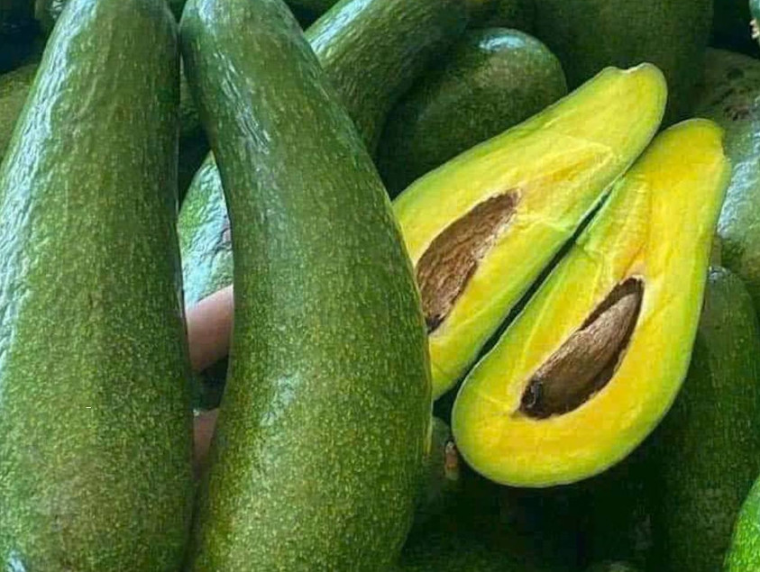 Quả bơ tốt giúp giảm cân, tốt cho tim mạch. Ảnh: Nguyễn Hiền