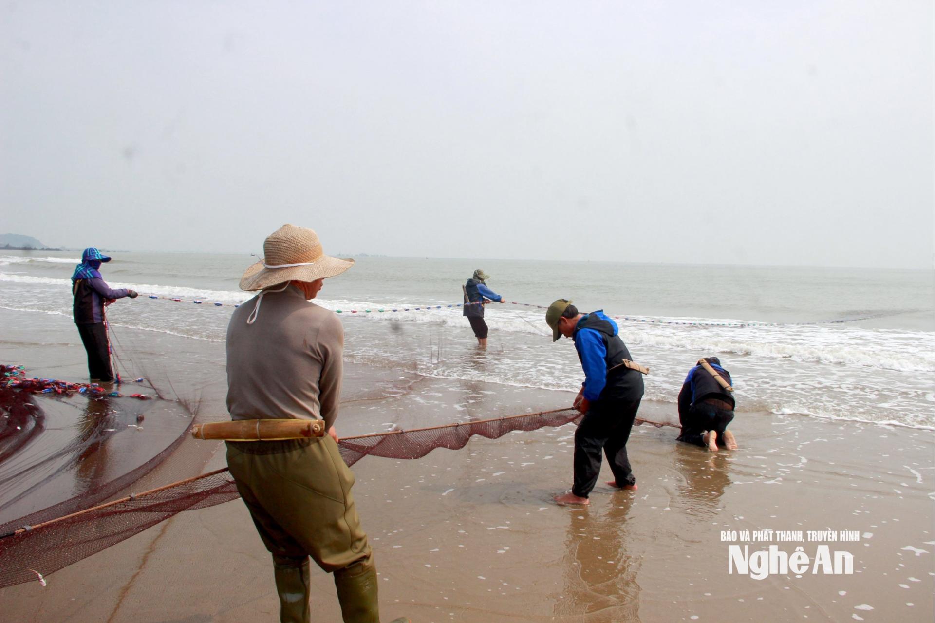 Từng tốp người chia nhau kéo lưới, đi giật lùi trên biển. Ảnh: Q.A