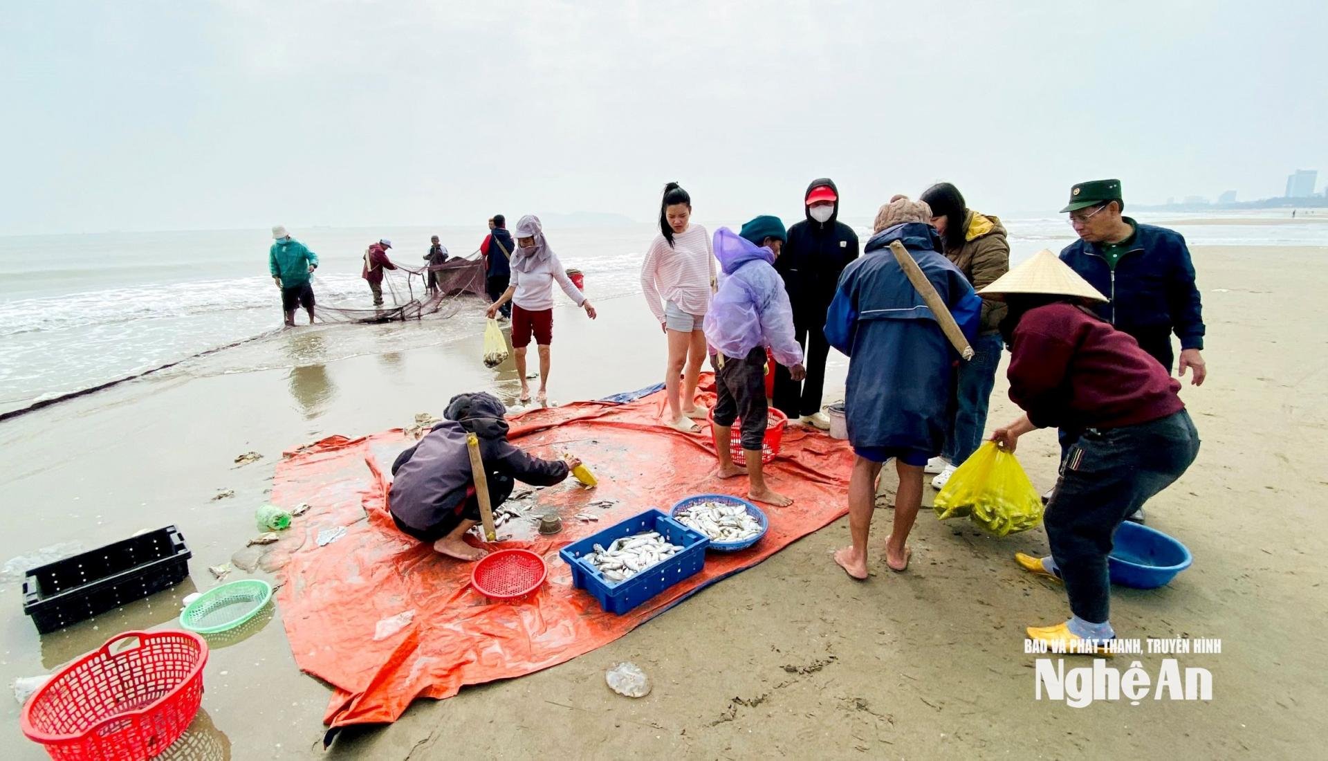 Những mẻ lưới kéo về hải sản tươi ngon, được người dân ưa chuộng. Ảnh: Q.A