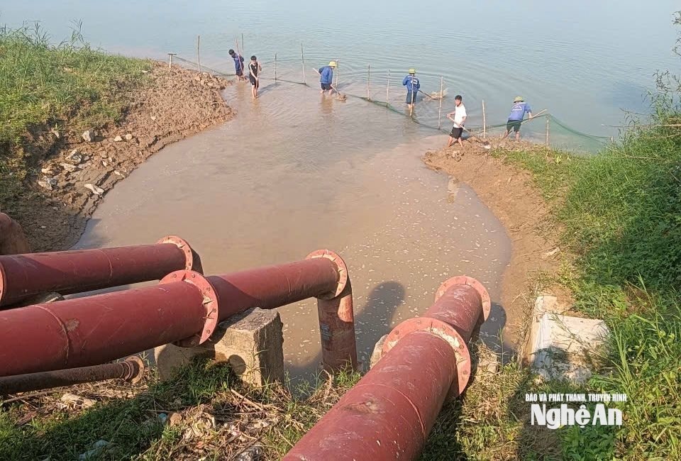 Công nhân khơi thông bể hút tại trạm bơm Rạng, xã Đại Đồng. Ảnh: Văn Trường