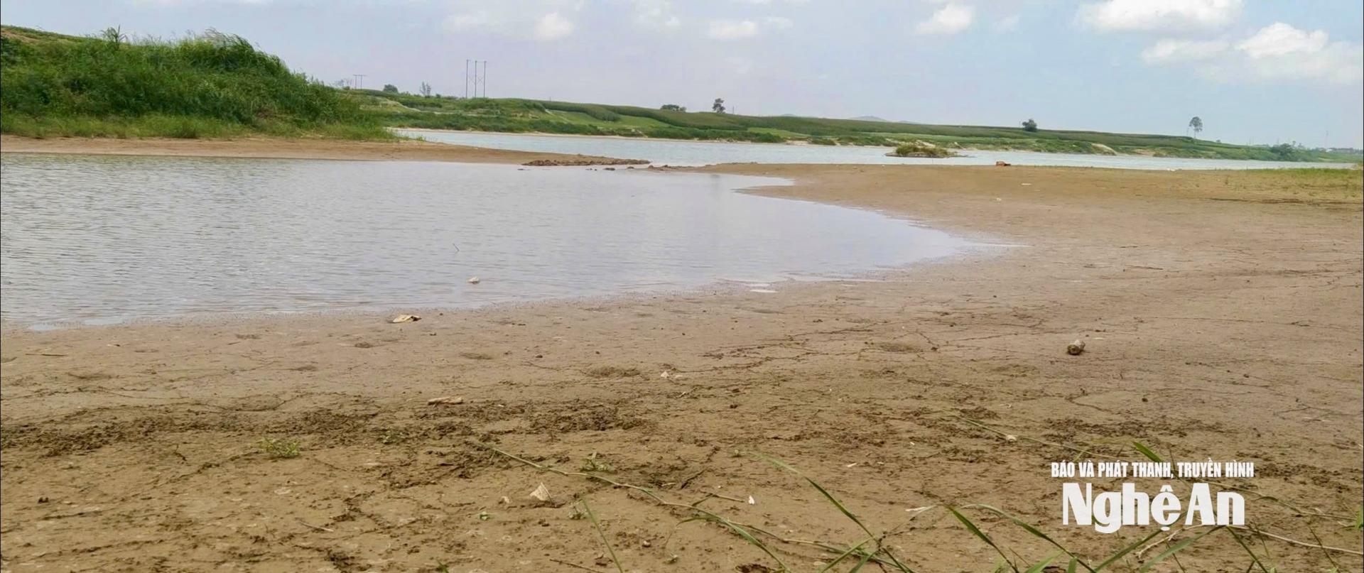 Khu vực Trạm bơm Cát Văn, xã Cát Ngạn bị bồi lắng với diện tích rộng hơn 5,4 ha. Ảnh: Văn Trường