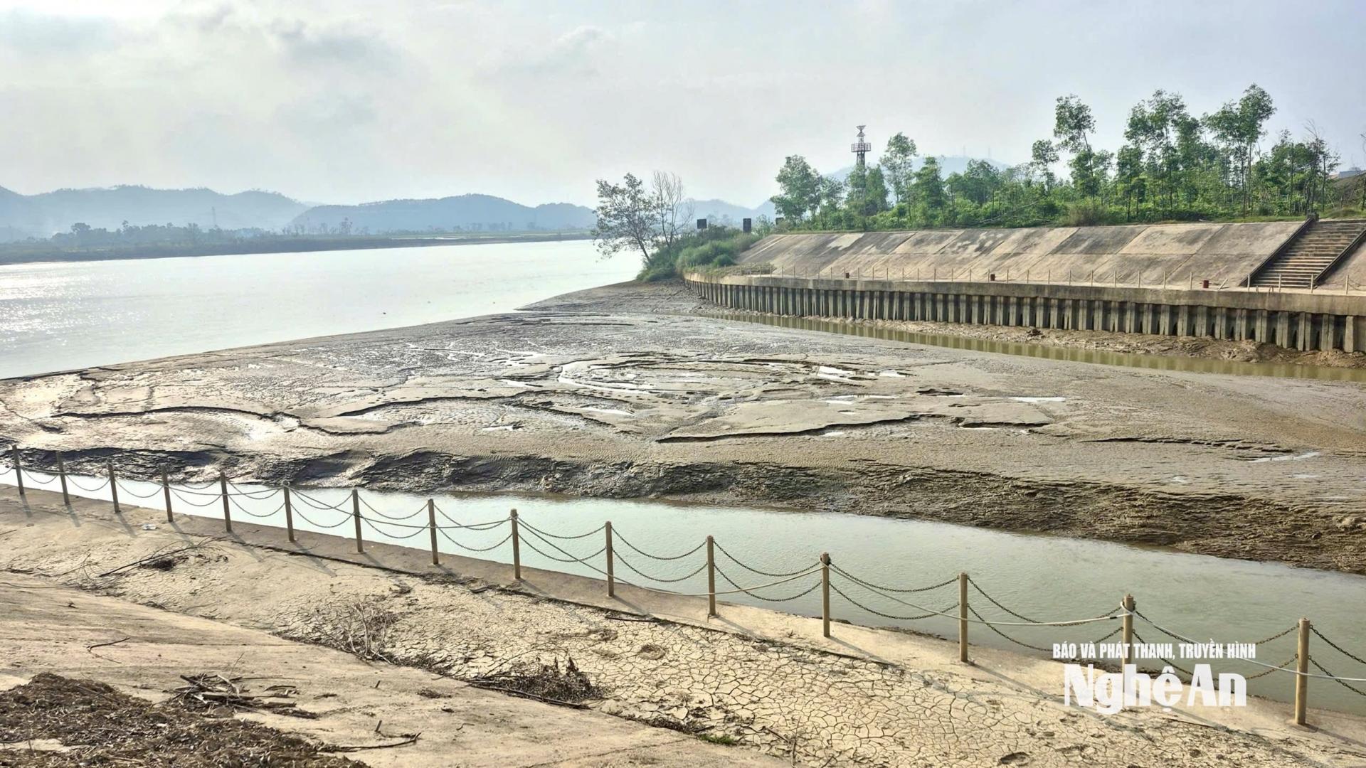 Cống Bara Nam Đàn 2 còn tồn đọng khối lượng bồi lắng rất lớn. Ảnh: Văn Trường