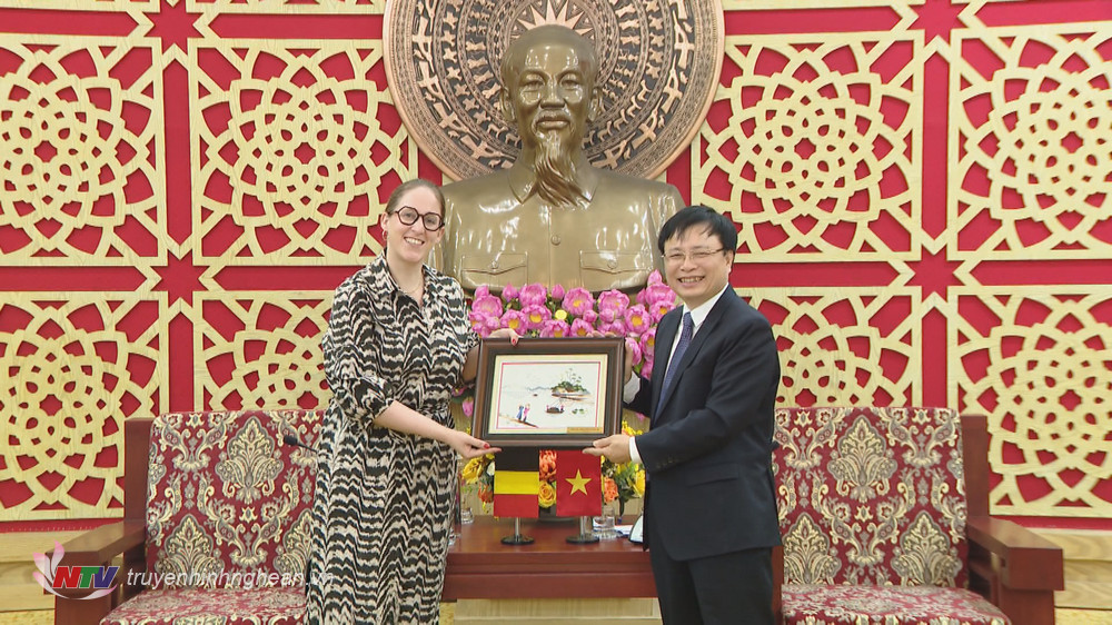 ồng chí Bùi Đình Long – Phó Chủ tịch UBND tỉnh trao tặng bà Nicole de Moor - Quốc vụ khanh về Tị nạn và Di dân của Vương quốc Bỉ bức tranh lưu niệm.