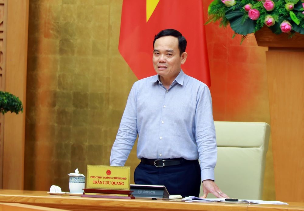 Phó Thủ tướng Chính phủ Trần Lưu Quang. (Ảnh: Chính phủ)