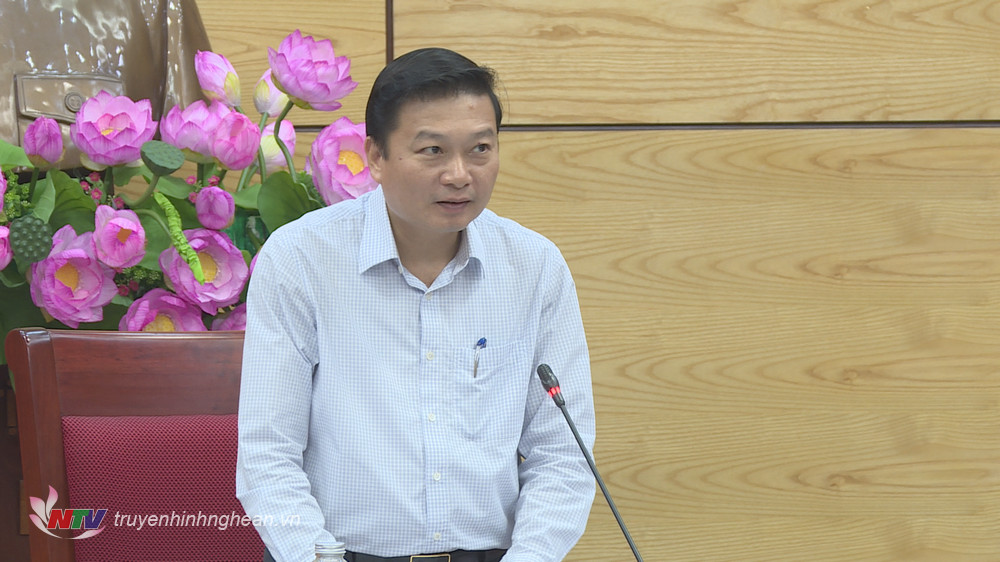 Phó Chủ tịch Thường trực UBND tỉnh Lê Hồng Vinh phát biểu chỉ đạo tại cuộc họp.