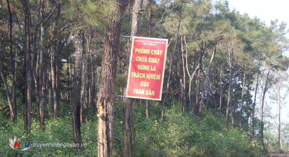 Tại các cánh rừng đều có các biển tuyên truyền nâng cao ý thức người dân trong phòng chống cháy rừng.