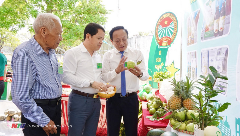 Các đại biểu tham gian hàng trưng bày các sản phẩm của Hội Nông dân huyện.