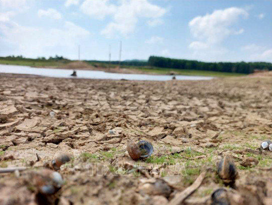 Nhiều hồ thủy lợi tại Đắk Lắk cạn kiệt nguồn nước do nắng nóng. Ảnh: Tuấn Anh/TTXVN