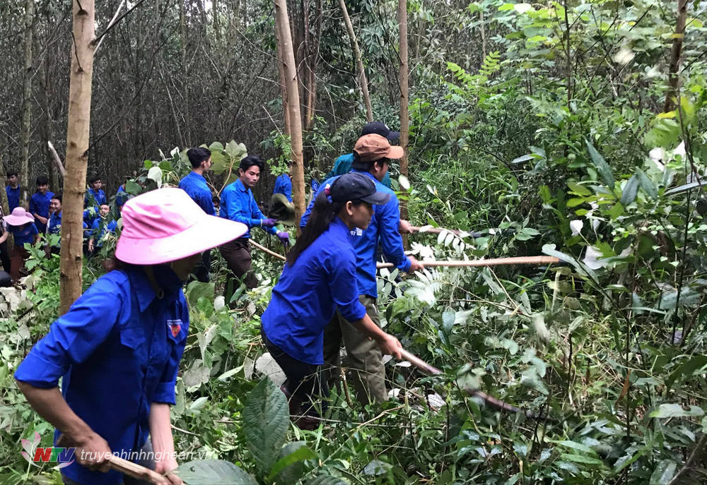 Các đoàn viên, thanh niên ra quân phát dọn thực bì