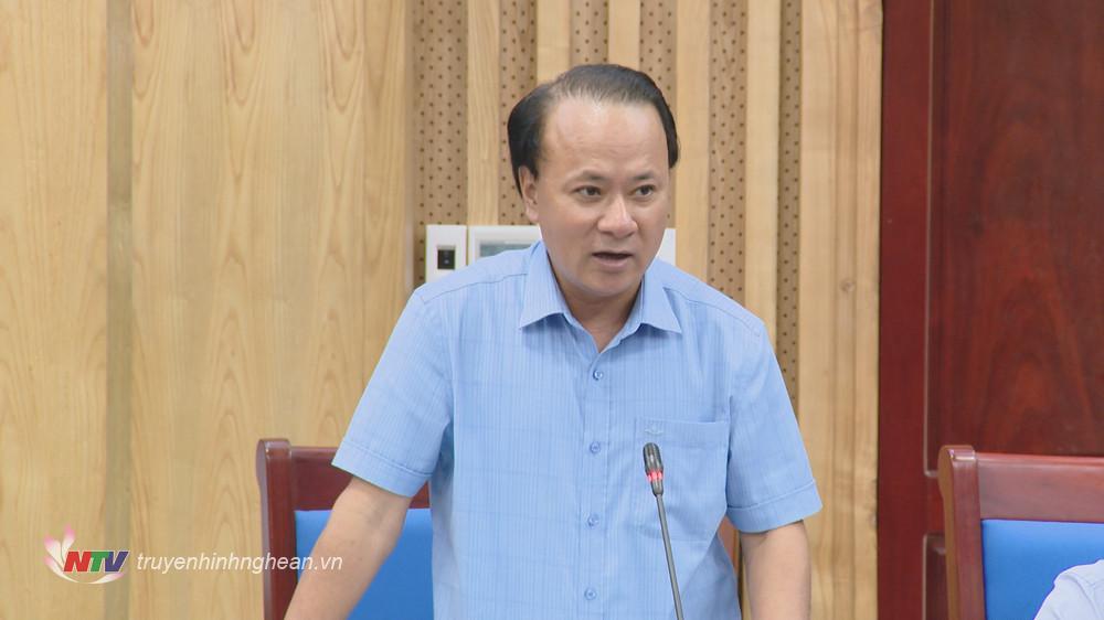 Phó Chủ tịch Thường trực UBND tỉnh Nguyễn Nam Đình phát biểu kết luận buổi làm việc.