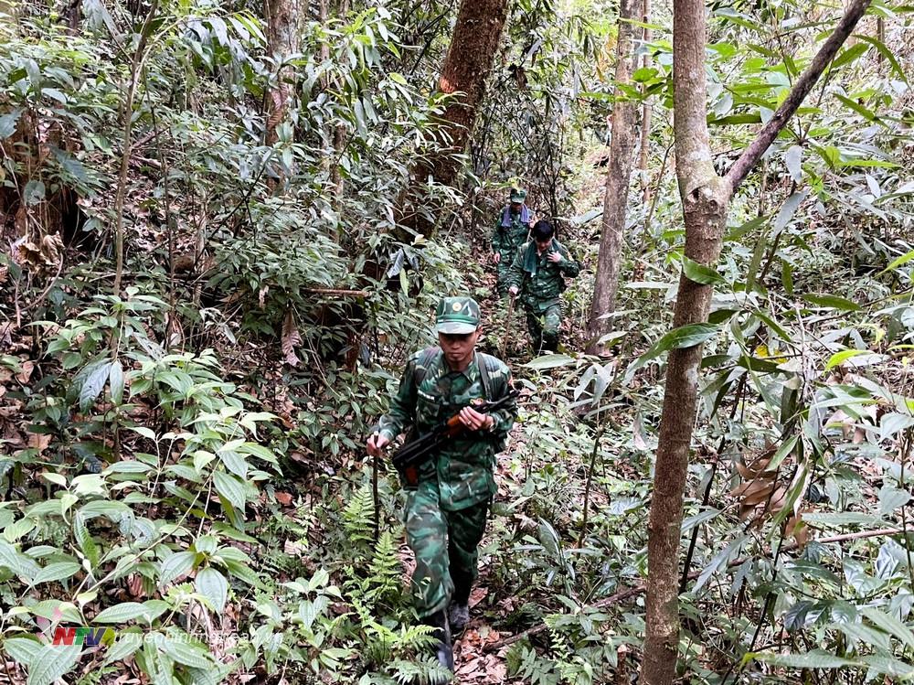 Đội hình Đồn Biên phòng Mỹ Lý, Bộ đội Biên phòng Nghệ An khắc phục khó khăn vượt qua địa hình rừng rậm tiến hành tuần tra khép kín đoạn biên giới Việt Nam - Lào.