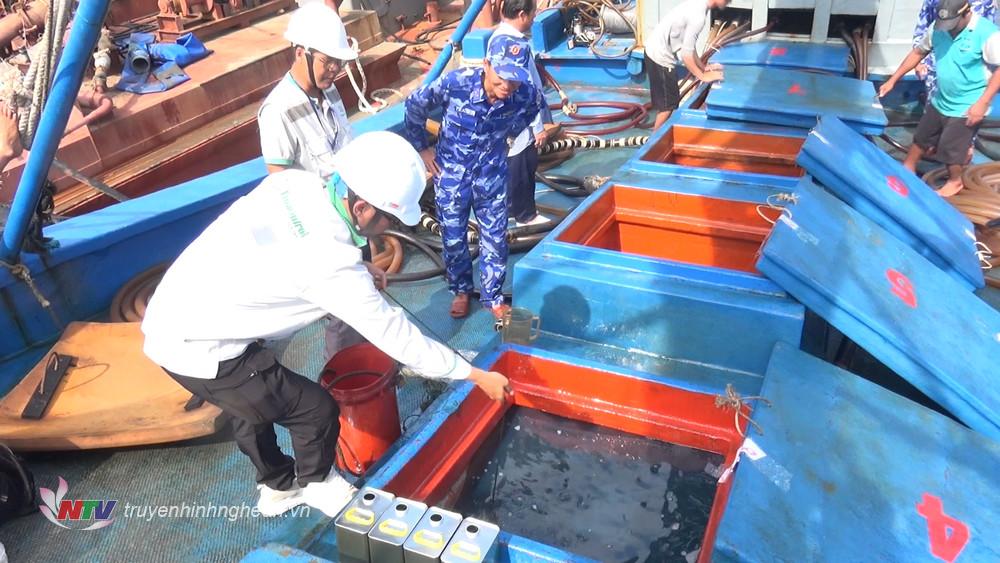 Tàu LA-99096-TS đang chở khoảng 70.000 lít dầu DO không có hoá đơn chứng từ.