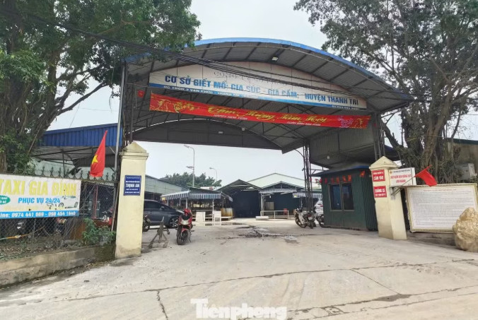 Cơ sở giết mổ gia súc tập trung Vạn Phúc, nơi tuồn ra các chợ đầu mối, chợ dân sinh, trường học 300 tấn thịt lợn bệnh.