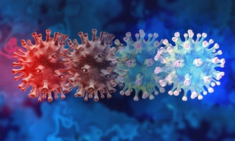 Biến thể BA.3.2 có ái lực liên kết ACE2 yếu. Ảnh minh họa: Internet