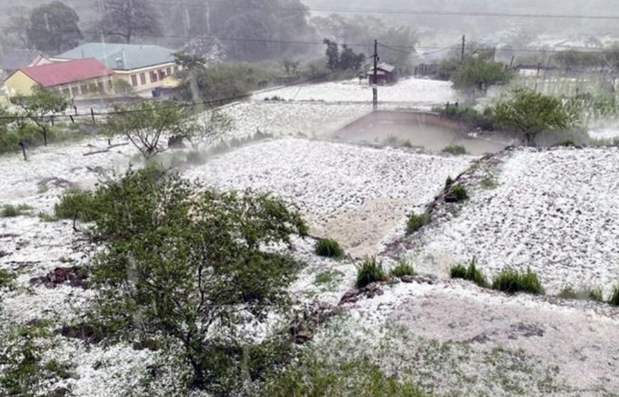 Dông lốc, mưa đá gây thiệt hại nặng nề ở các địa phương.