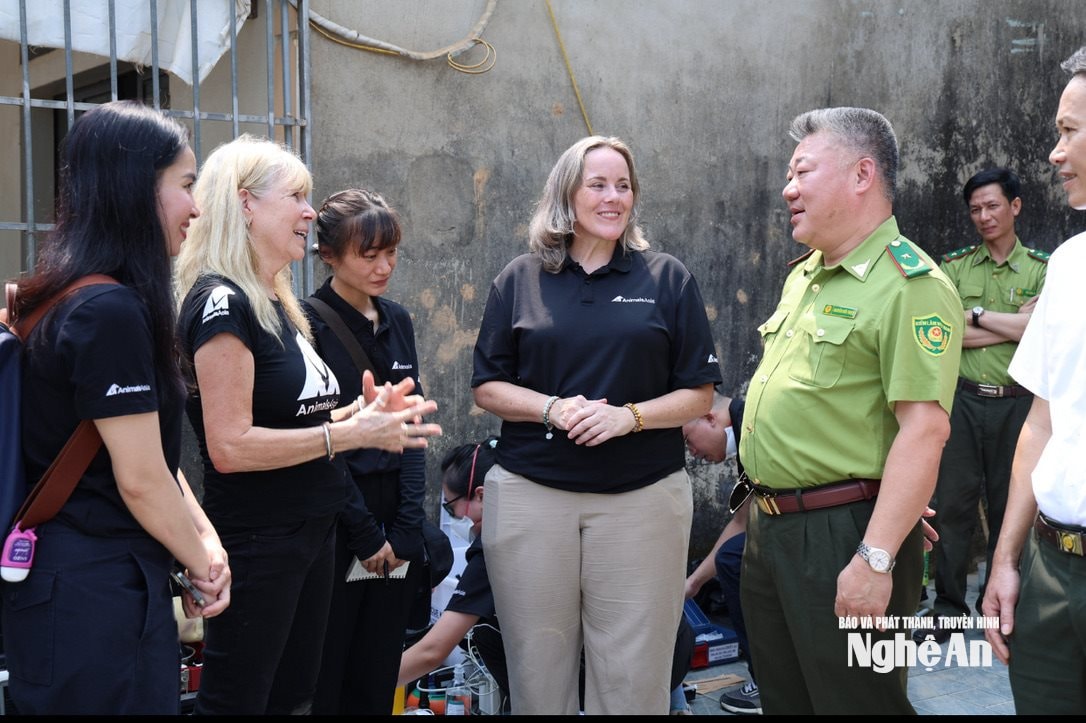 Đại diện Tổ chức Động vật Châu Á trao đổi với lực lượng chức năng sau khi gây mê cho 2 cá thể gấu. Ảnh: Văn Trường