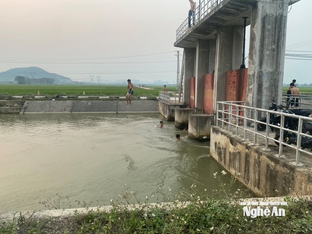 Trẻ em nhảy từ độ cao 5 mét ở cống Phúc Tăng ở xóm Phúc Trung, xã Yên Thành xuyên qua cống ngầm. Ảnh: Văn Trường