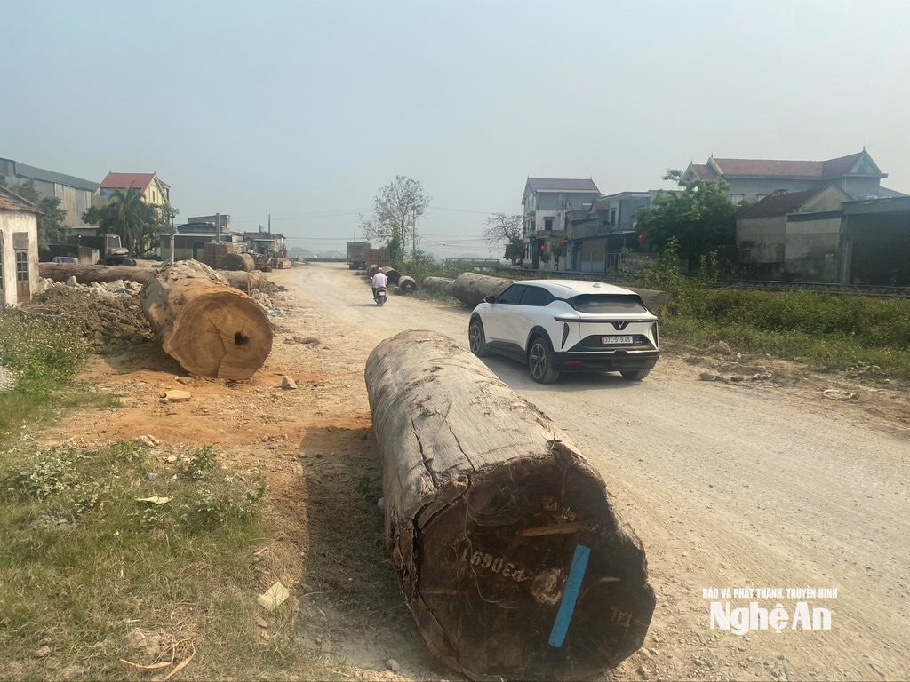 Những khúc gỗ kích thước lớn để ngay giữa lòng đường. Ảnh: Văn Trường