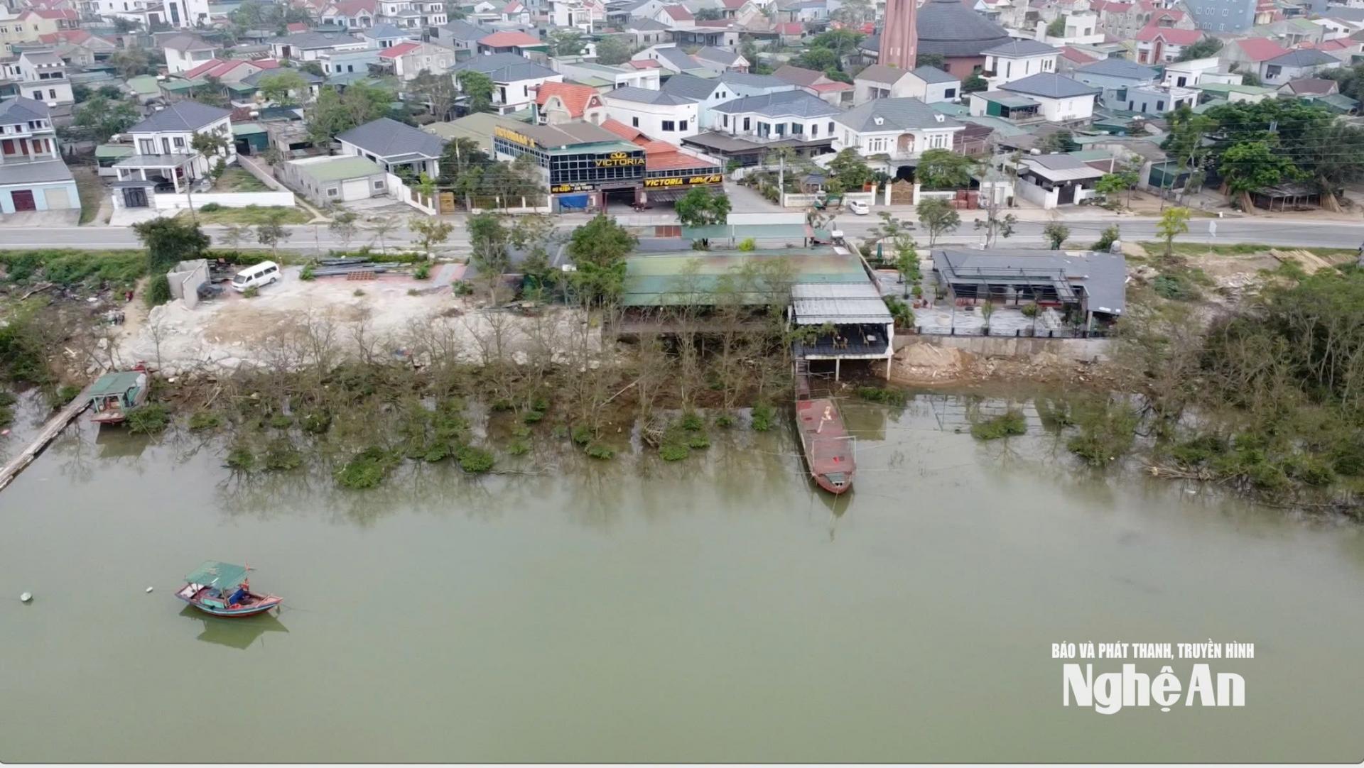 Những rặng bần khối Hải Nam, phường Cửa Lò. Ảnh: Vĩnh Hoàng