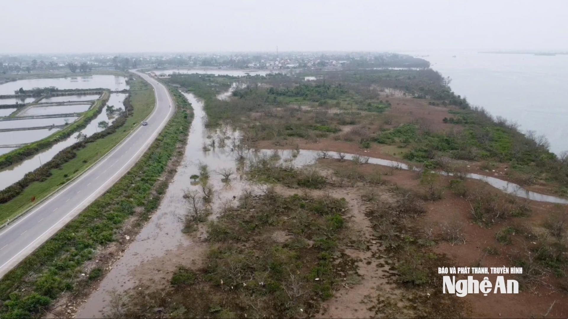 Đường ven sông Lam và rừng bần khu vực xã Hưng Hòa (cũ). Ảnh: Vĩnh Hoàng