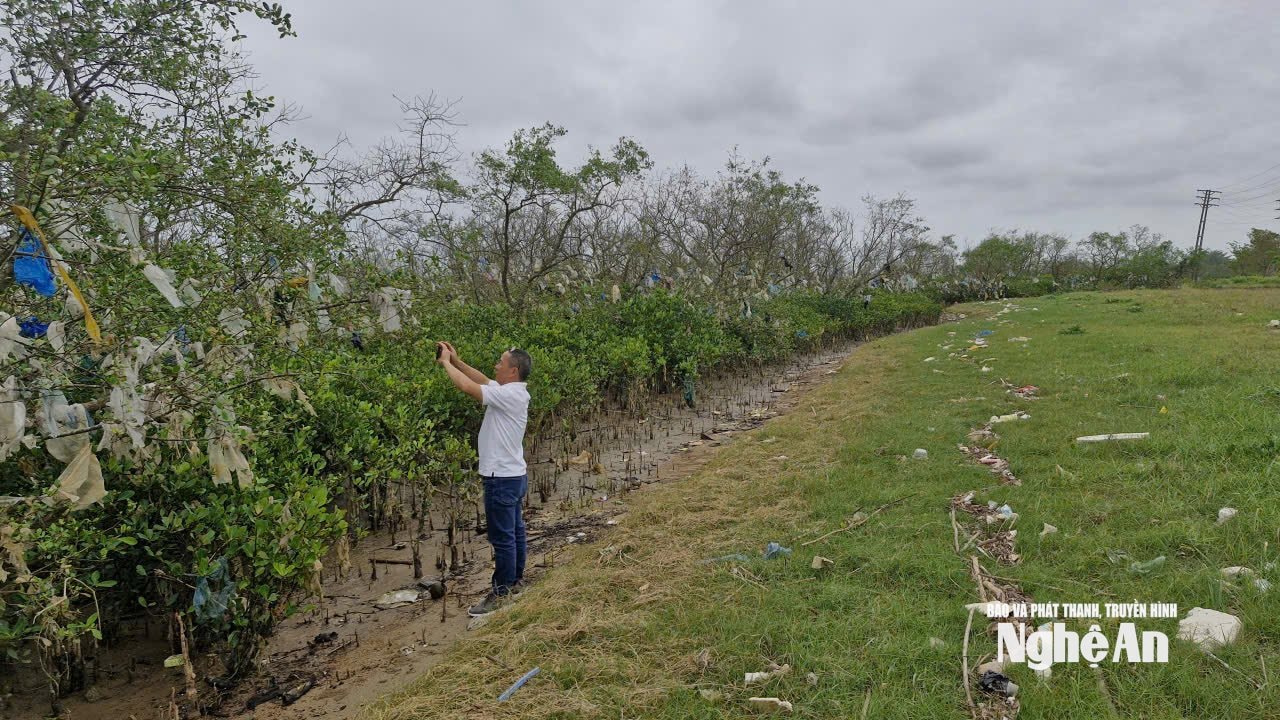 PV Báo và phát thanh, truyền hình Nghệ An tác nghiệp tại rừng bần khu vực khối Xuân Lộc. Ảnh: Nhật Lân