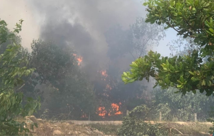 Hơn 20 hecta rừng phòng hộ Pacsa ở Quảng Nam cháy liên tục suốt 8 tiếng đồng hồ. (Ảnh: B.Đ)