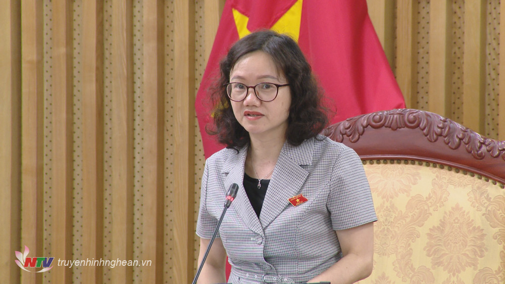 Đồng chí Thái Thị An Chung - Phó trưởng Đoàn ĐBQH tỉnh phát biểu kết luận buổi làm việc.