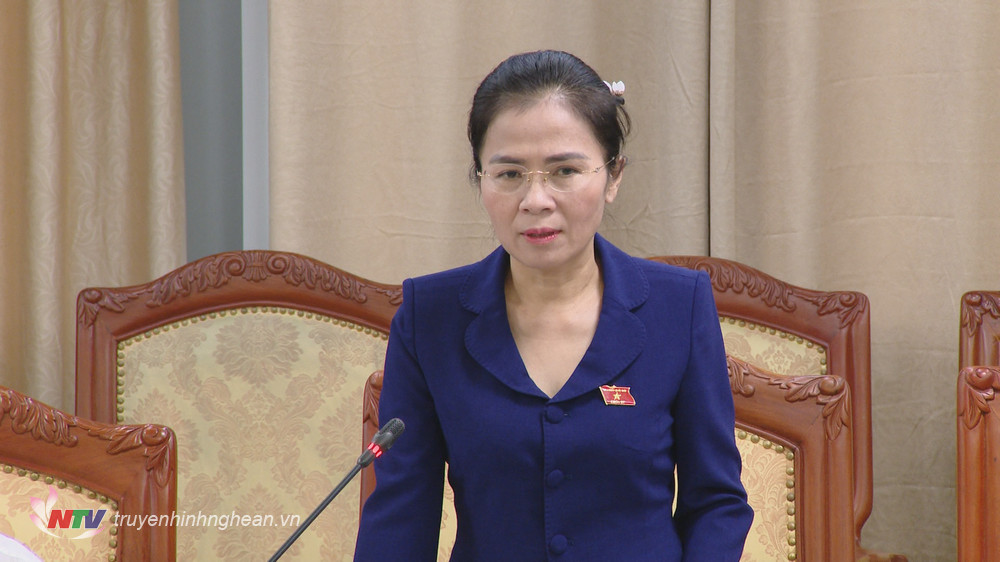 Đồng chí Võ Thị Minh Sinh - Uỷ viên BTV Tỉnh uỷ, Chủ tịch UBMTTQ tỉnh phát biểu tại buổi làm việc.