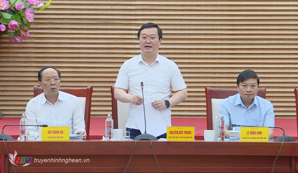 Đồng chí Nguyễn Đức Trung - Phó Bí thư Tỉnh uỷ, Chủ tịch UBND tỉnh kết luận phiên họp.