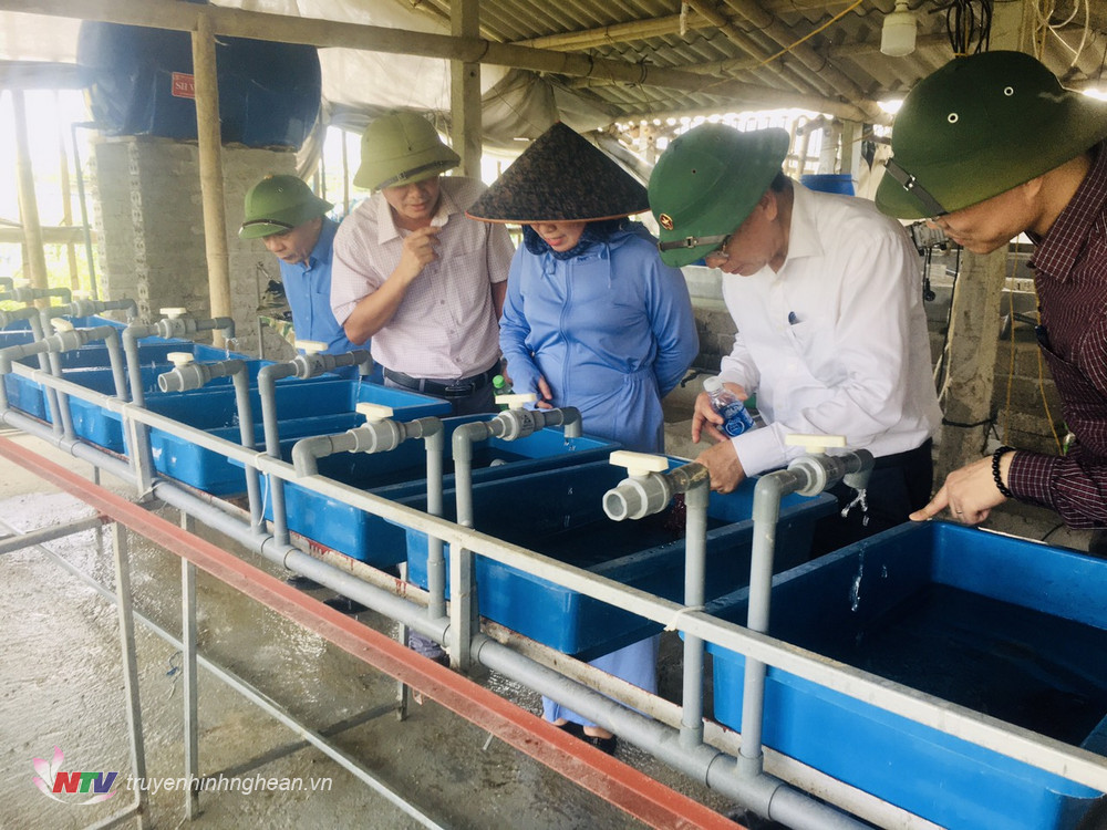 Thăm trang trại của hộ gia đình anh Nguyễn Duy Thành ở xã Văn Thành cho thấy: Hiện nay, trang trại này đang thực hiện mô hình khép kín ươm nuôi  lươn giống và nuôi lươn thương phẩm; kết hợp  nuôi cá koi, cá lăng, bước đầu cho hiệu quả kinh tế khả quan.