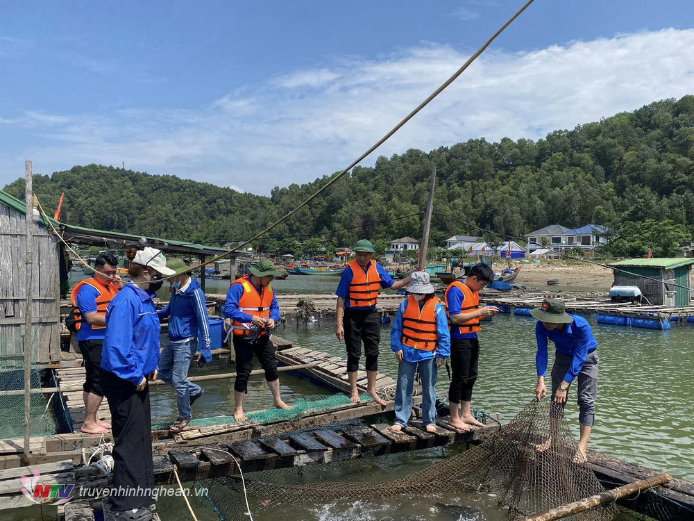 Chương trình trải nghiệm 1 ngày làm ngư dân của Huyện đoàn Nghi Lộc.